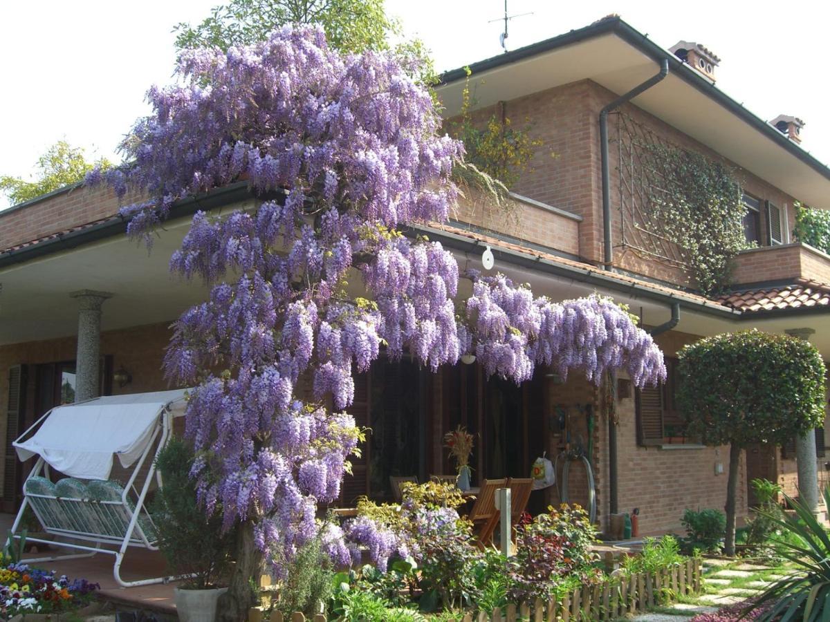 Bed & Breakfast Les Fleurettes *
